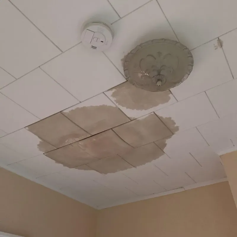 Ceiling Water Damage Repair in Harrison County, MO