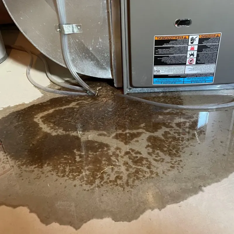 Pipe Burst and Leak Restoration in Harrison County, MO