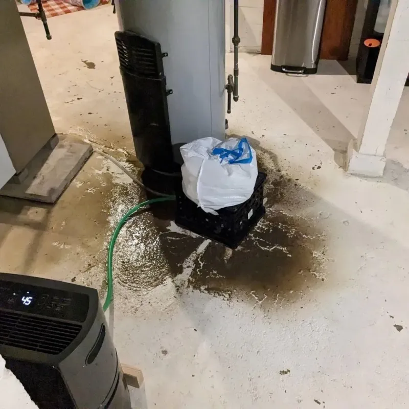 Sewage Backup Cleanup Service in Harrison County, MO